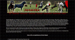 Desktop Screenshot of jenecks.com