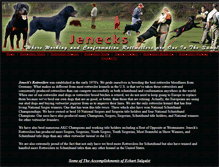 Tablet Screenshot of jenecks.com